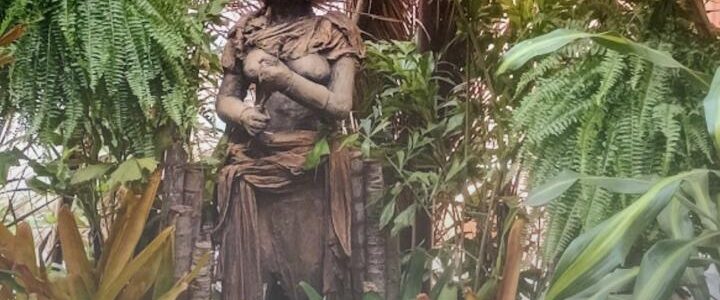 Chá de Abertura – Exposição “A selva, a Arte e o Cosmos” – 12 de dezembro a 14 de janeiro – 12h