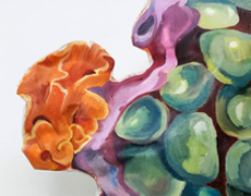 ‘O Habitat Pictórico’ é a primeira exposição individual de Gabriela Carvalho