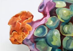 ‘O Habitat Pictórico’ é a primeira exposição individual de Gabriela Carvalho