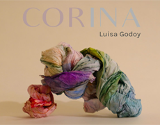 Obras de Luisa Godoy investigam a cor a partir do corpo e da experiência sensível